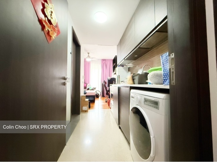 Rivertrees Residences (D28), Apartment #609703121